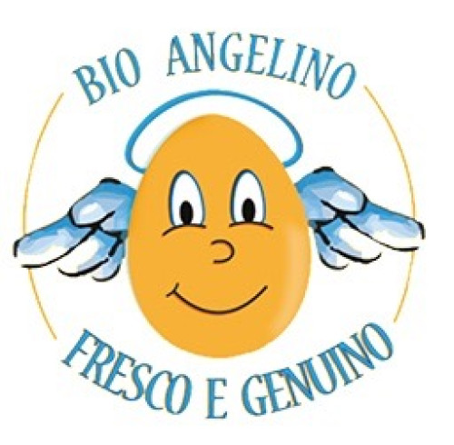 Uova biologiche