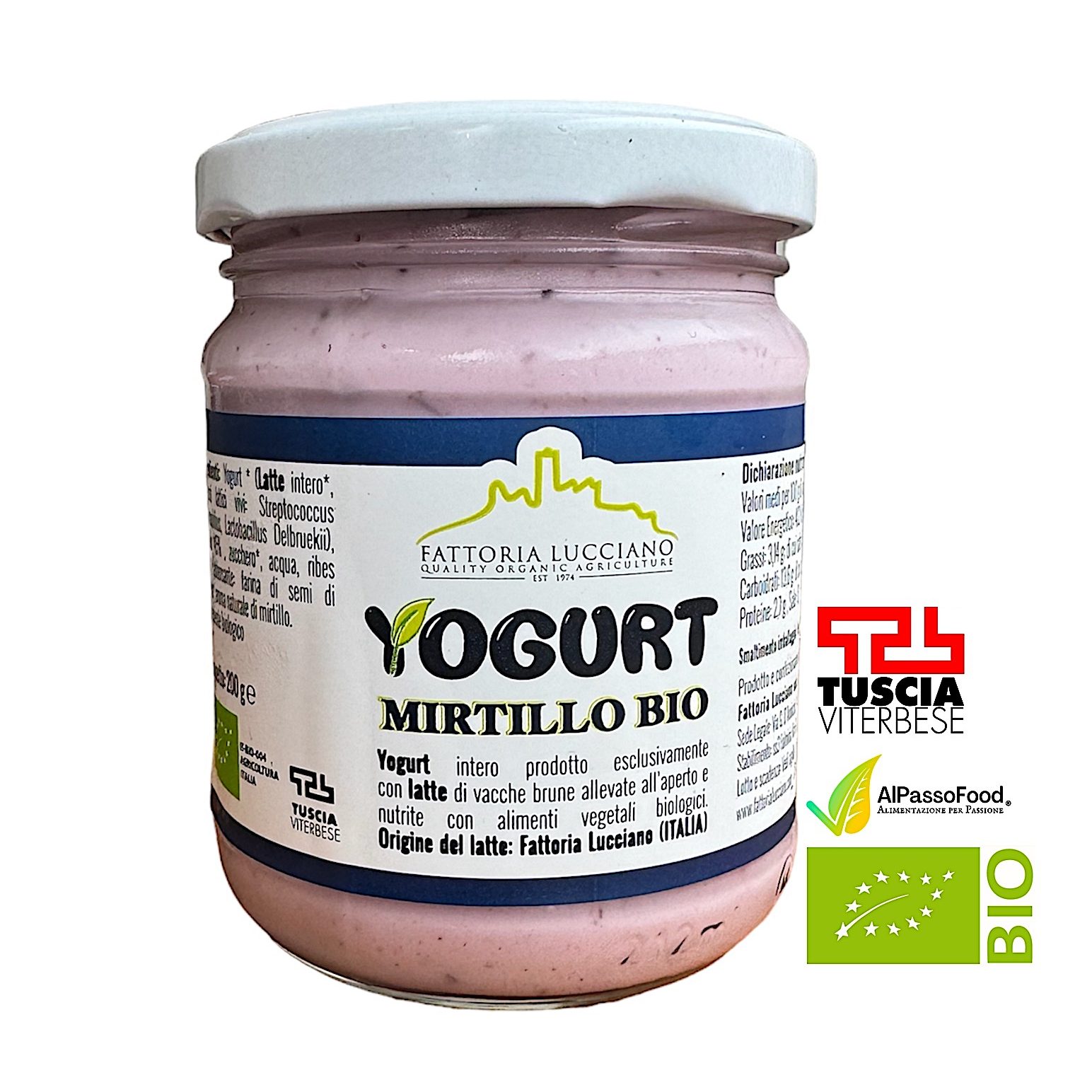 Yogurt al Mirtillo Biologico