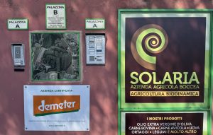solaria roma