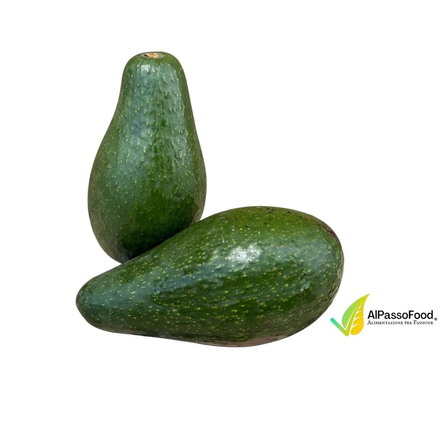 Avocado Fuerte