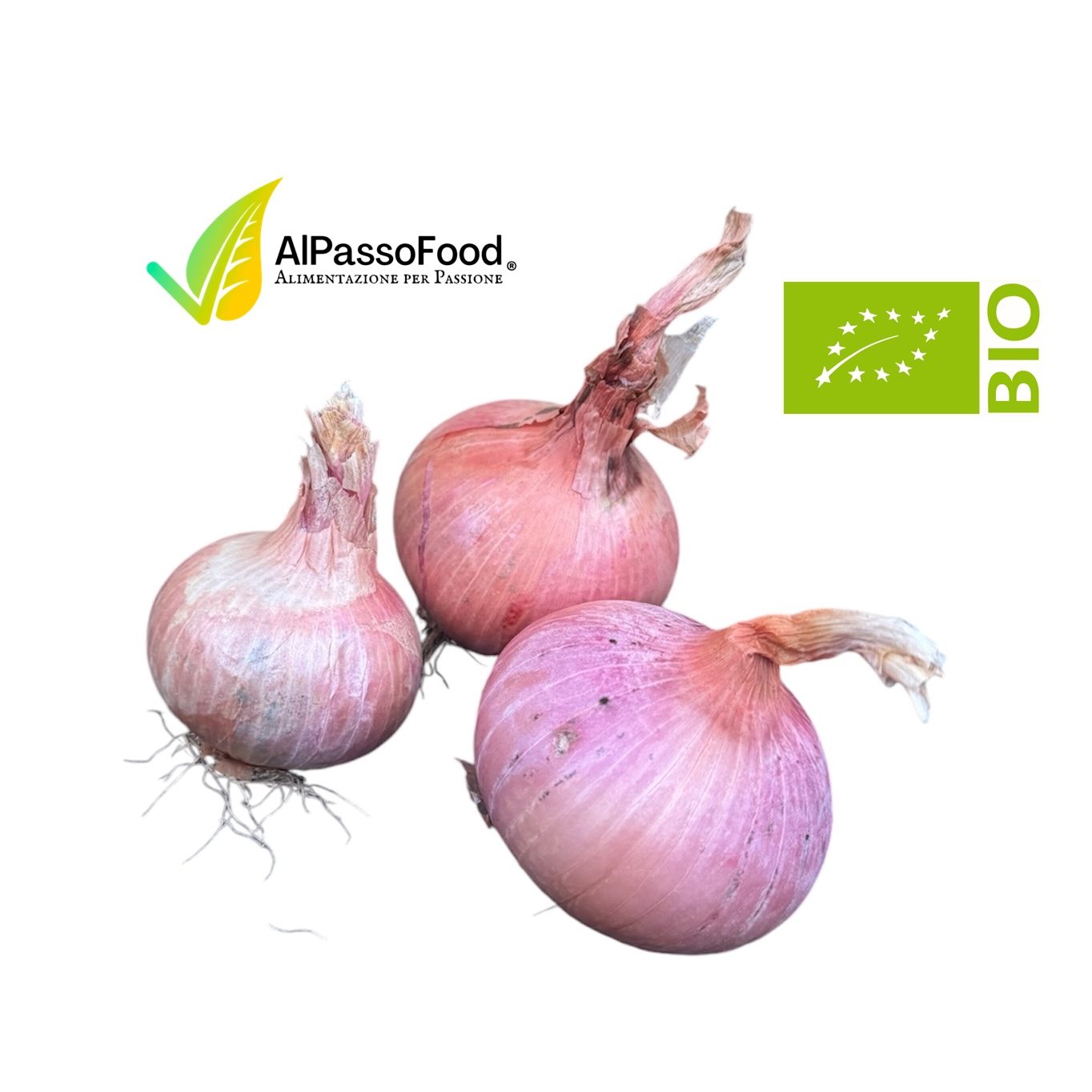 Cipolle Rosa Siciliane Biologiche