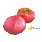 Pomodoro di Sorrento 800g