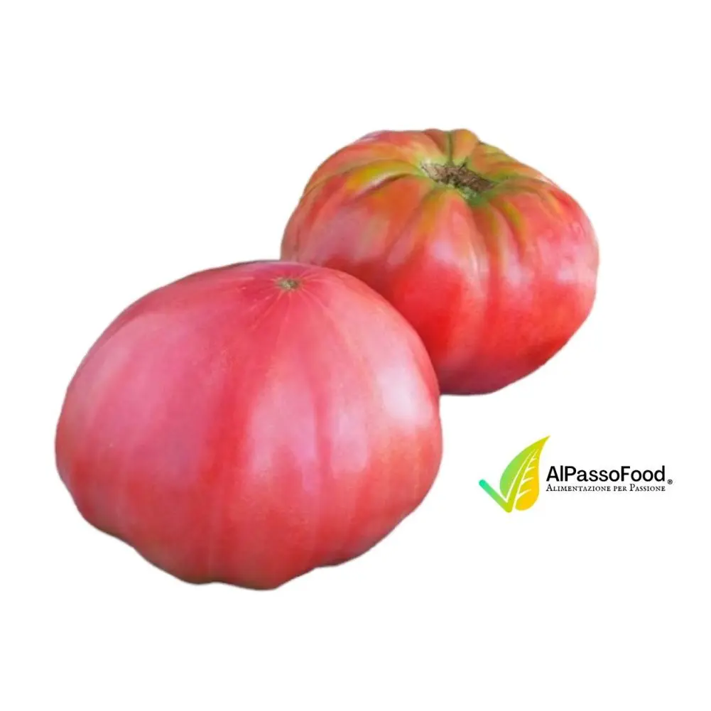 Pomodoro di Sorrento