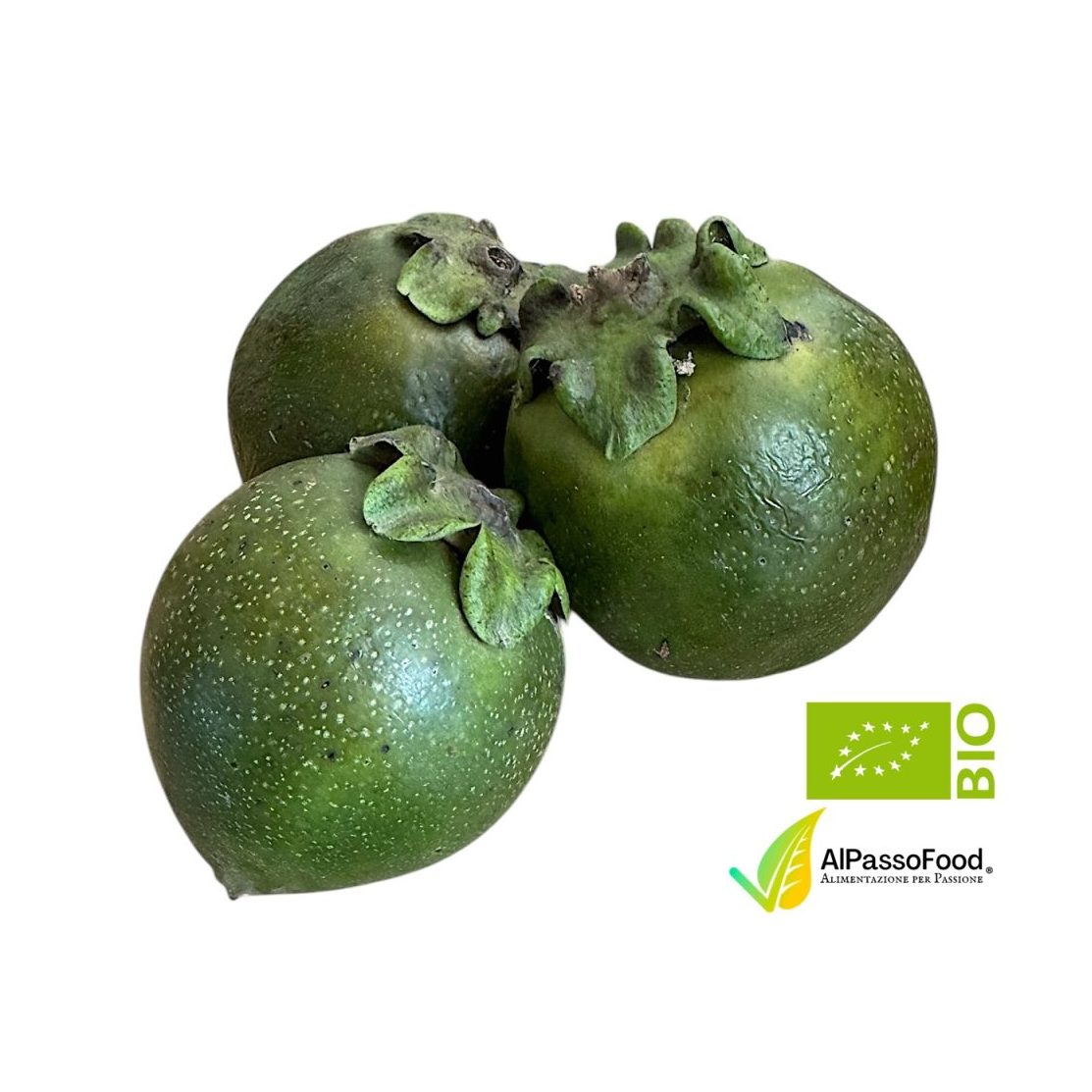 Black Sapote Biologico Siciliano