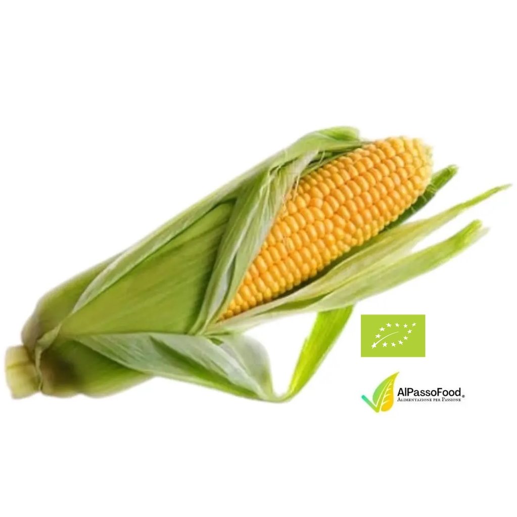 Pannocchia di Mais Fresca Biologica