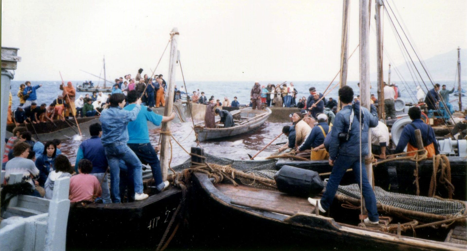 Tre torri tonno Italiano del mediterraneo