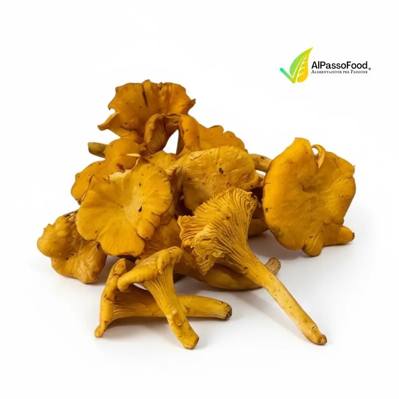 Funghi Galletti Freschi