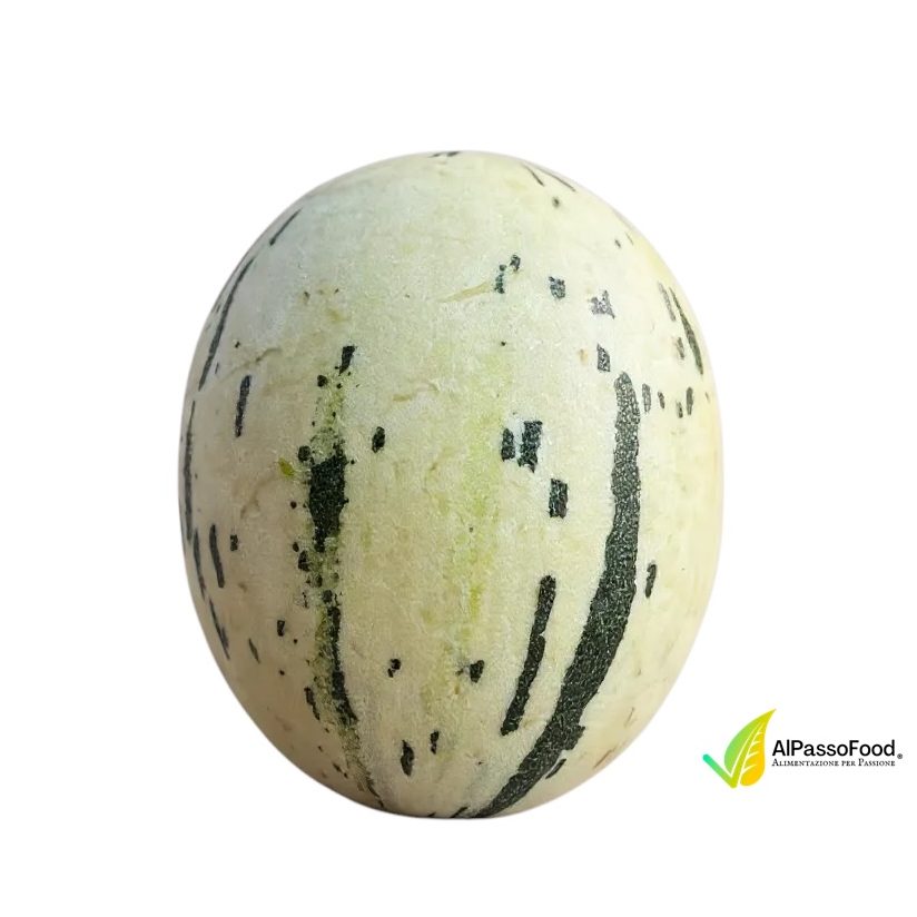 Melone Bianco Dino