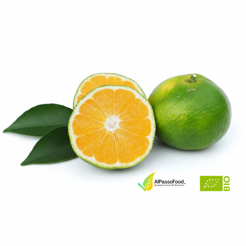 Organic Satsuma Mandarin