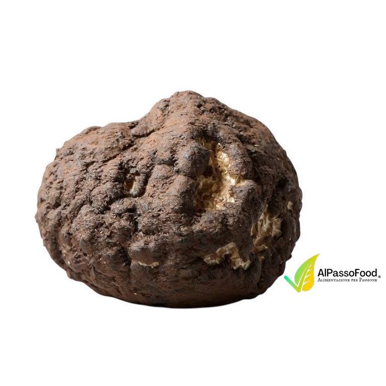 Tartufo Nero della Tuscia