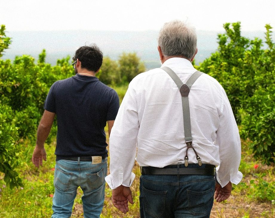 La collina Bio agrumi di Sicilia