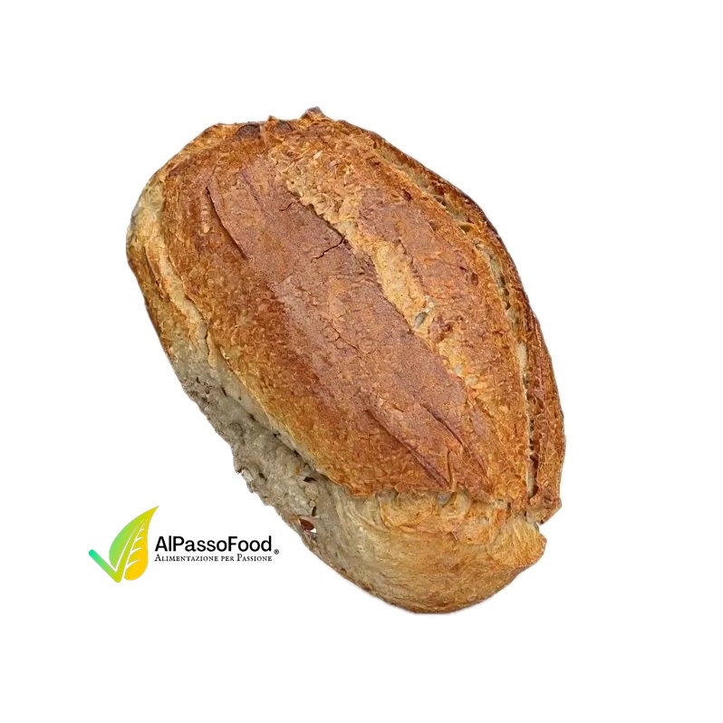 Pane Campagna Semintegrale