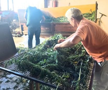 Erba logica produzione tisane bio