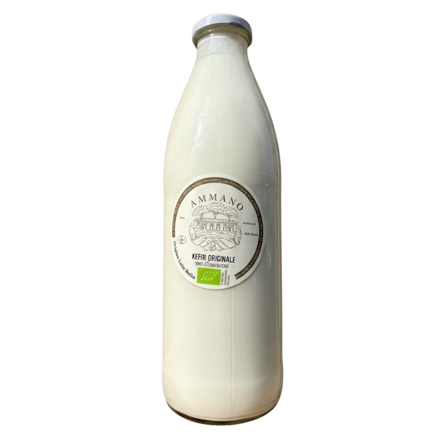 Kefir Biologico 1L
