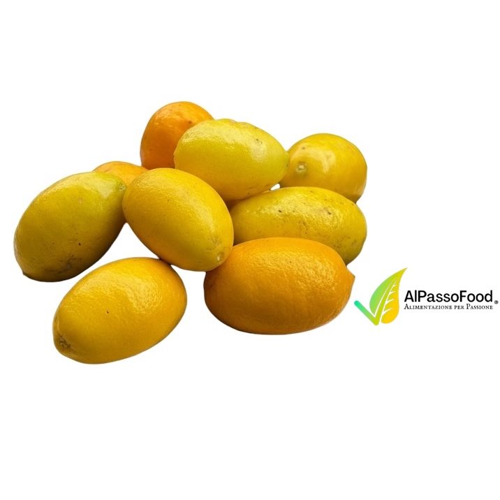 Limequat di Amalfi