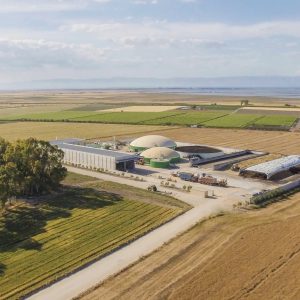 Arte Agricola, Cerignola(FG) PUGLIA