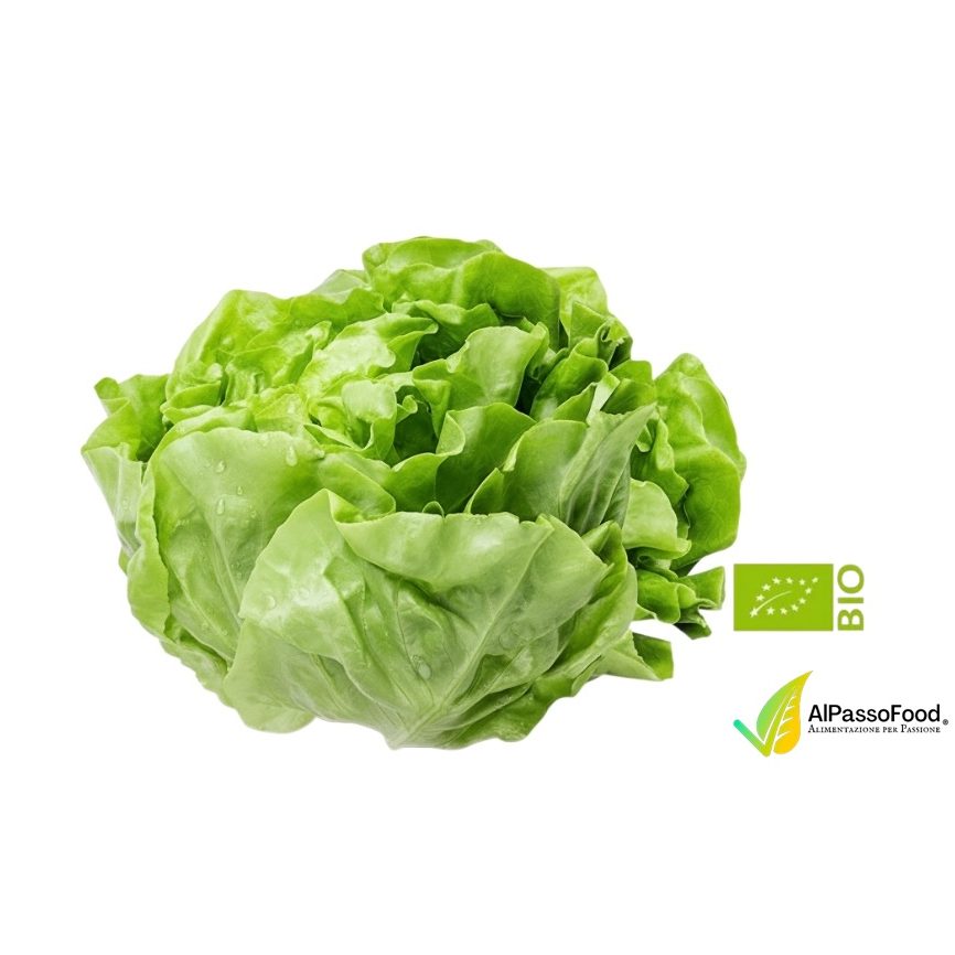 Insalata Cappuccina Biologica