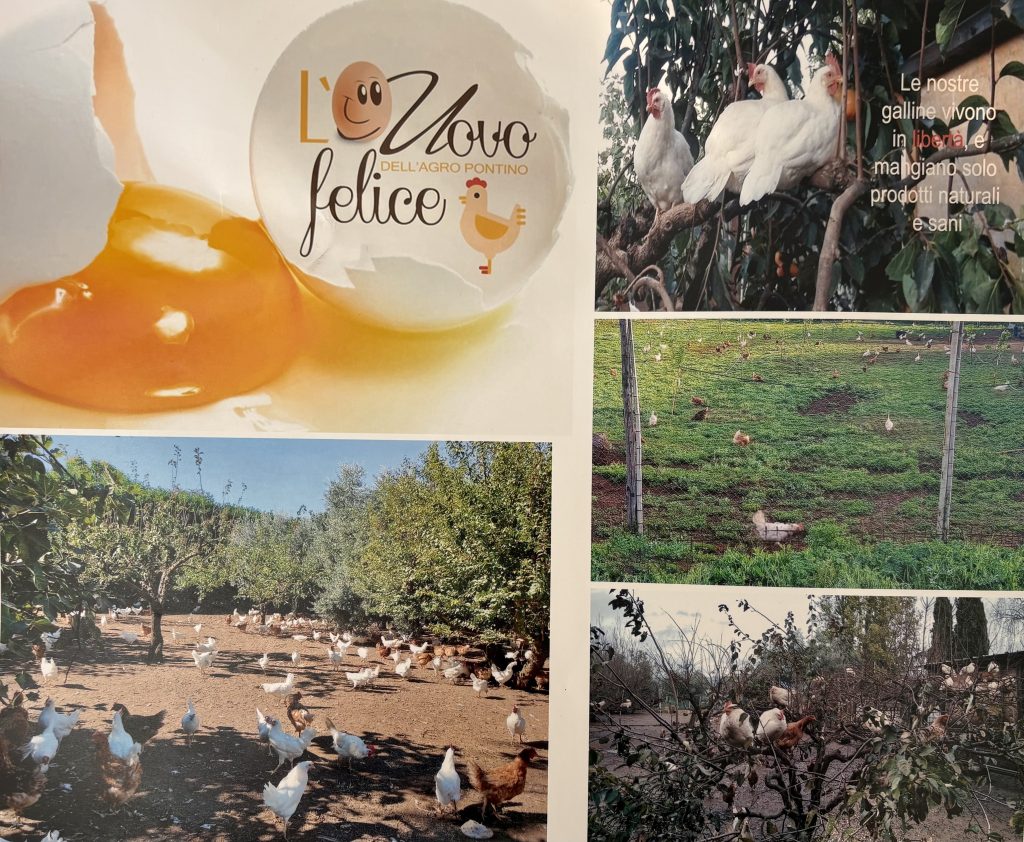 L'Uovo Felice dell'Agro Pontino