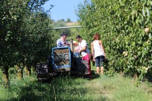 Biofavole, Ortezzano(FM) MARCHE