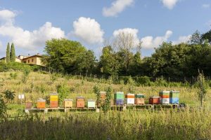 Bucolica Circolo culturale agricolo