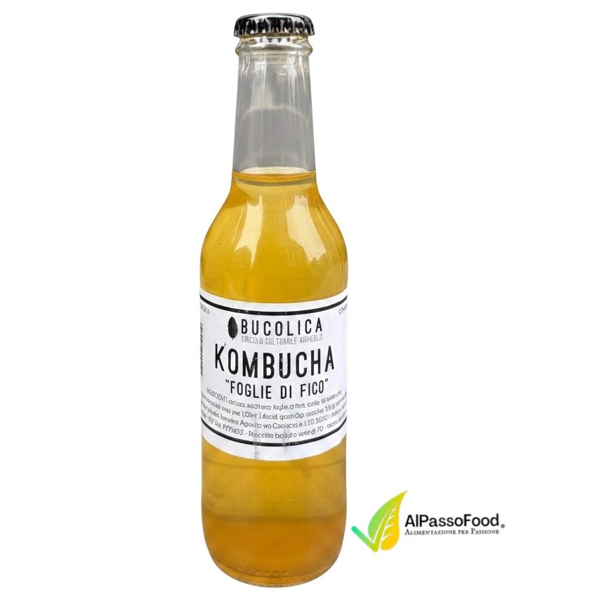 Kombucha Foglie di Fico