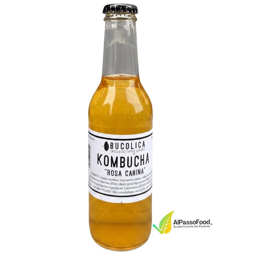 Kombucha Rosa Canina