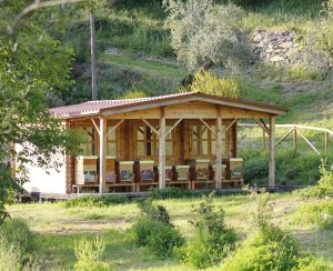 Az. Agr. La BeeO Baita, Dicomano(FI) LAZIO