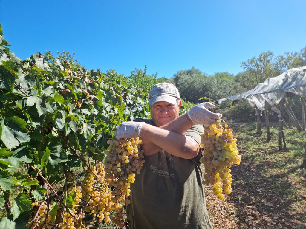 Cantina Giara
