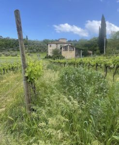 Fattoria di Sammontana