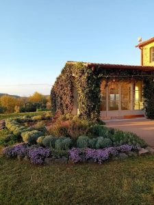 Malauva Casa Agricola