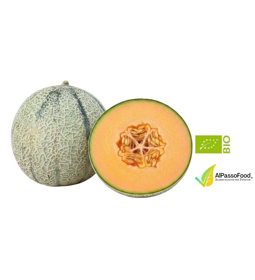 Melone Retato Biologico