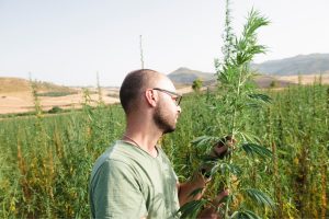 Molinio Crisafulli, Caltagirone(CT) SICILIA