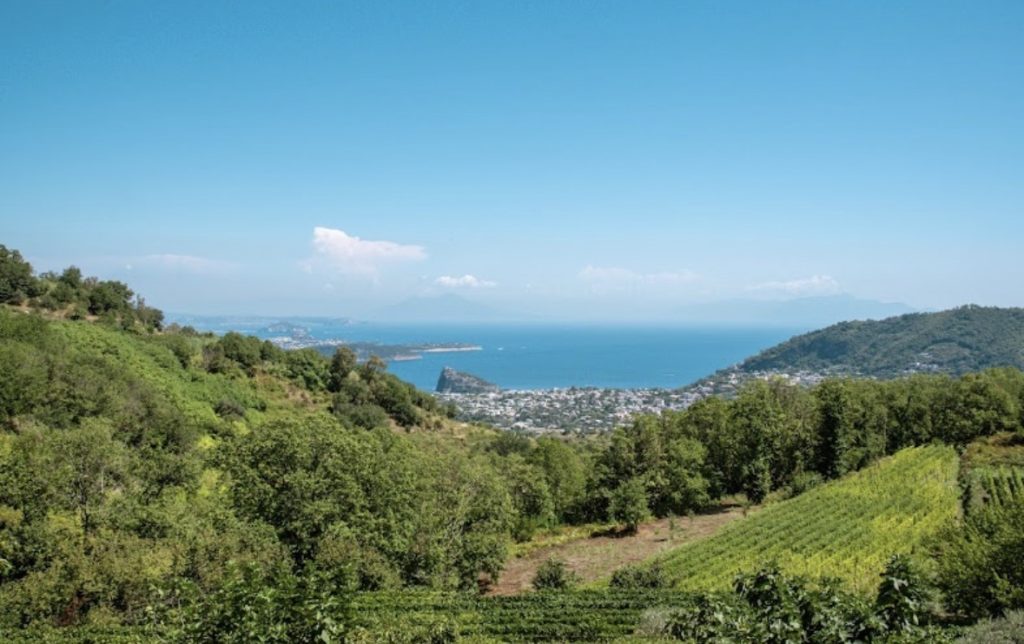 Tenuta del Cannavale