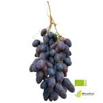 Uva Nera Black Magic Biologica 800g
