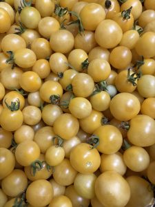 Agroemme ciliegino bianco