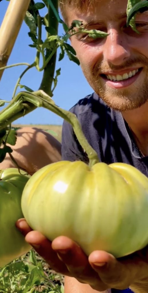 Agroemme