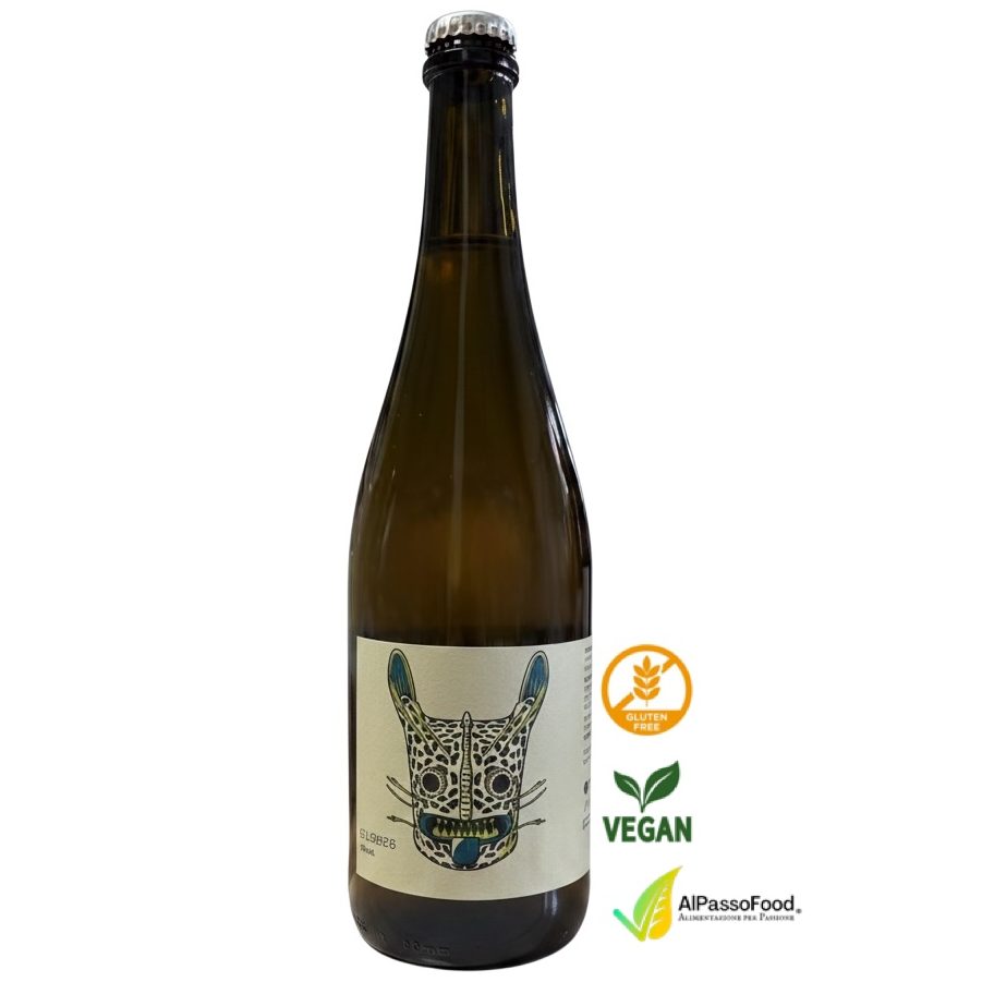 Kombucha 012026
