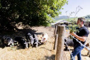 Poggio Felicioso, Allumiere RM