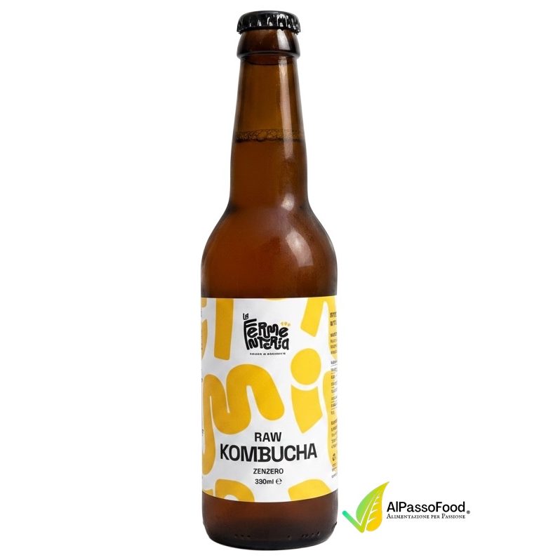 Kombucha Zenzero