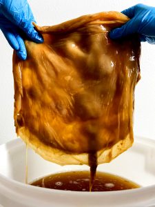 Funky Fermenteria