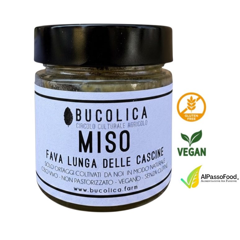 Miso di Fava Lunga delle Cascine