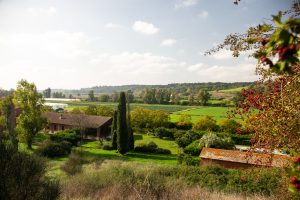 Solaria agricola Boccea