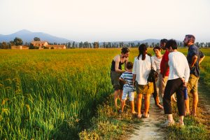 Tenuta San Carlo