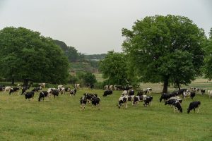 Vita Azienda Agricola