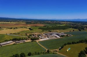 Vita Azienda Agricola
