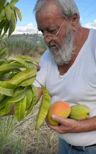 Carmine di Oasi Tropicale Sicilia