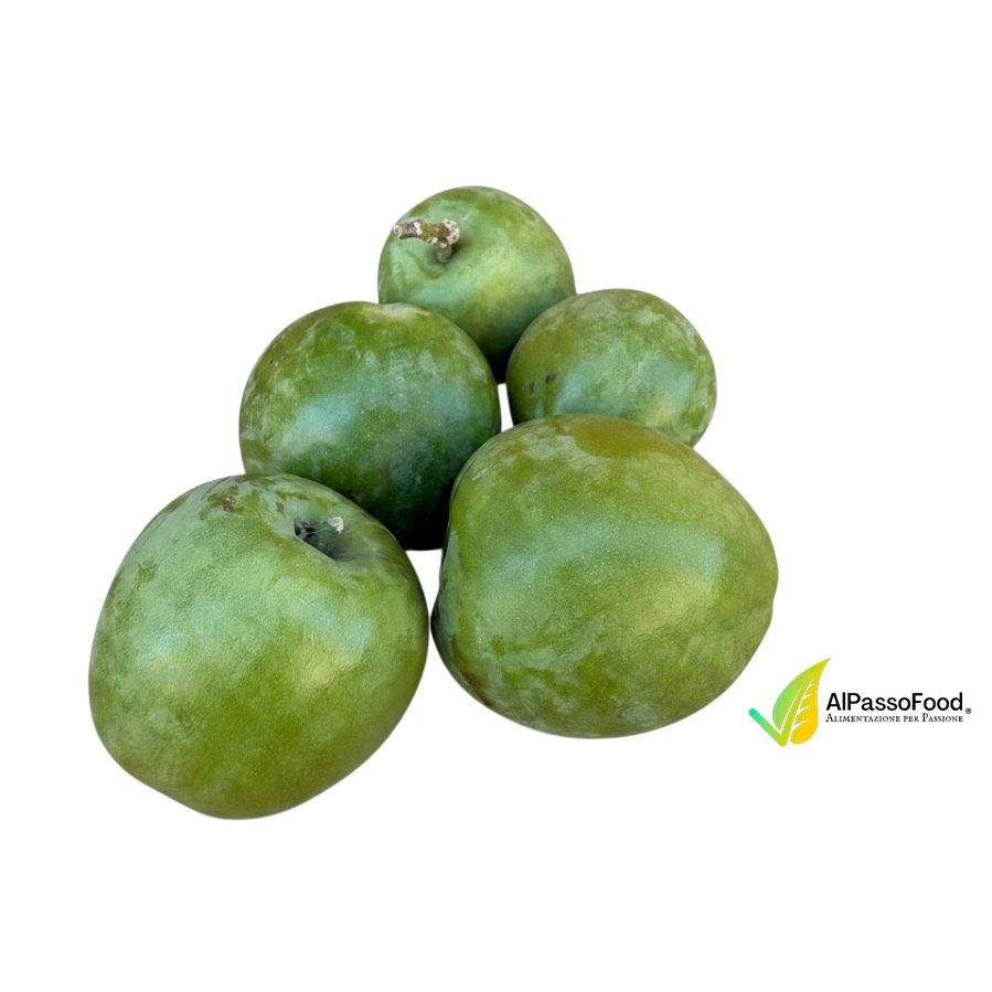 White Sapote Calabrese