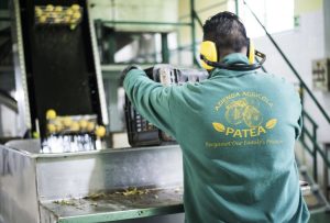 Patea azienda agricola